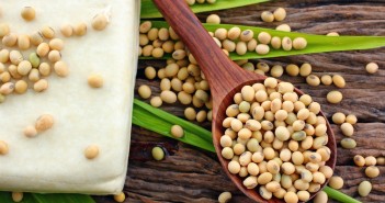 Soybeans and tofu on wood background